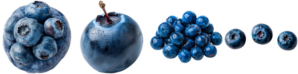 Various blueberries and a plum are displayed on a white background, highlighting their rich blue color and textures, making them visually appealing and fresh