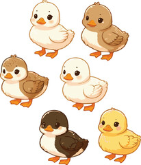 Create a kinds of 6 Duckling illustration duckling animal vector. vector art with white background.