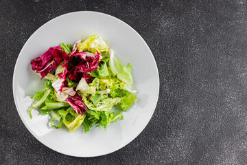 Salad mixed leaves iceberg, batavia, lettuce, radicchio, romano, frisee appetizer vegetables dish organic fresh tasty gourmet food background on the table copy space keto paleo diet vegetarian vegan