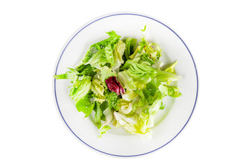 Salad mixed leaves iceberg, batavia, lettuce, radicchio, romano, frisee appetizer vegetables dish...