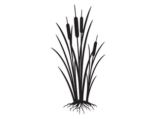  CATTAIL SILHOUETTE WHITE BACKGROUND