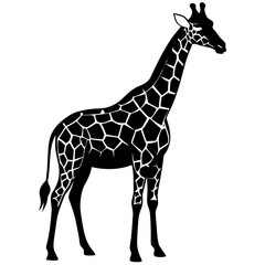 Naklejka premium giraffe silhouette with white background