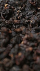 A close up view of charred black organic material, showcasing its intricate textures. Media