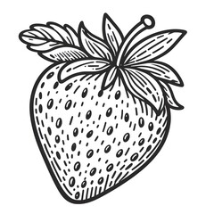 Strawberry minimalist black and white silhouette drawing vector illustration