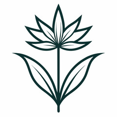 vector illustration of a leaf