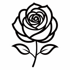 black rose vector illustration