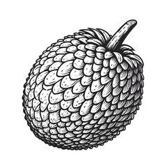 Salak Snake Fruit minimalist black and white silhouette drawing vector illustration