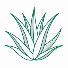 vector illustration of a plant
