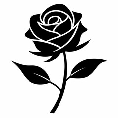 rose vector illustration