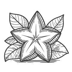 Starfruit Carambola minimalist black and white silhouette drawing vector illustration