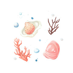 Hand Drawn Ocean Seashells and Starfish Clipart. Pastel Marine Shells and Starfish Elements Set