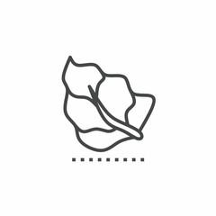 Leaves vector collection. Illustration design for business. Stock vector.