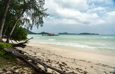 Tropical beach on Seychelles during offseason with cloudy sky, calm waves, driftwood