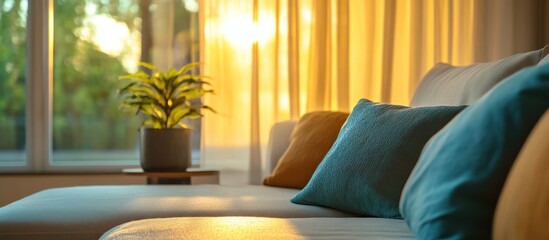 Sunset Living Room Couch, Plant, Window