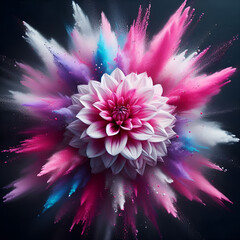 Exploding Colorful Dahlia Flower