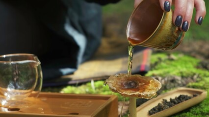 Video shows a serene tea preparation with graceful pouring and calm. Media