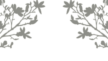 Nature spring: beautiful leaf, bird, and tree shadow on a transparent background.