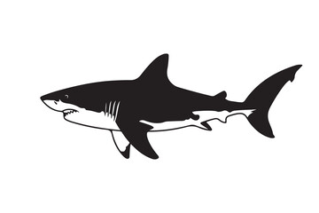 Great White Shark Vector Silhouette – Sea Animal Illustration