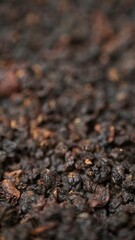 Close Up of Dark Organic Soil That is Rich in Essential Nutrients for Plant Growth and Health. Media