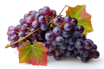 Fototapeta premium Ripe purple grapes cluster surrounded by vibrant Dionysian ivy leaves on white background