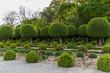 ornamental garden with trees