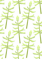 Watercolor illustration of hyacinth. Composition of plants. Seamless flower pattern