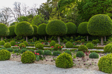garden with trees