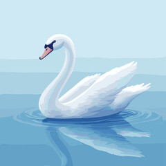 	Elegant white swan swimming on lake