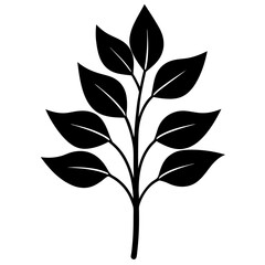 black and green leaves