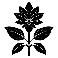 black and white flower