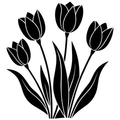 black and white tulips