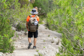 Hiker walking outdoors on a sunny summer day
