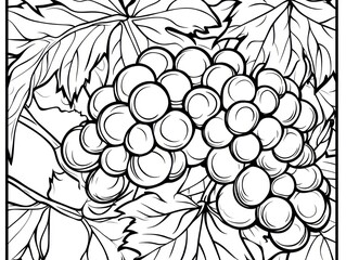 Fototapeta premium Grapes on vine, leaves background, illustration, coloring book