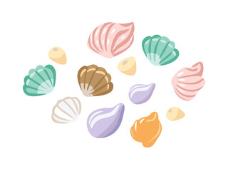 vector illustration of shells
