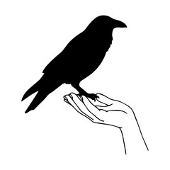 Releasing Peace