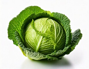 Fototapeta premium Cabbage at white background