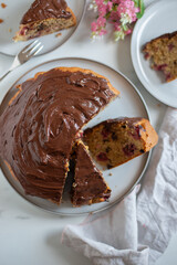 chocolate cake with raspberry