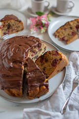 chocolate cake with raspberry