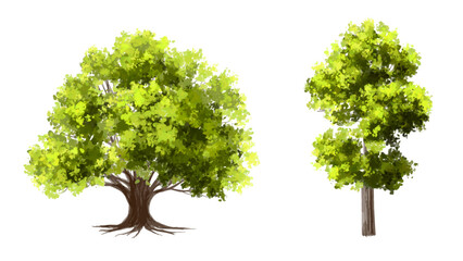 Vector of green tree side view isolated on white background ,watercolor tree elevation for landscape concept,environment scene,eco design, garden for spring