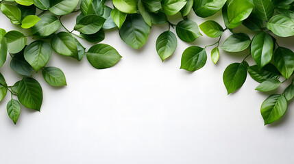 Elegant creamy satin fabric texture horizontal white background close-up soft lighting abstract concept

