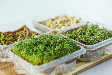 Sprouted pea, lettuce, mustard, radish seeds on a wooden board.