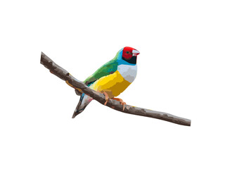 vector or illustration of a bird perched on a wooden branch