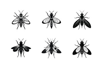 Chrysops relictus (Marsh deer fly), silhouette vector illustration