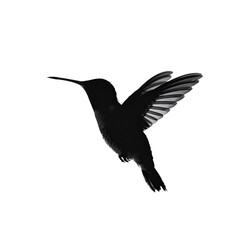 Obraz premium Hummingbird silhouette in flight with wings spread, monochrome, avian wildlife