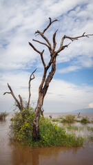 The landscape of Lake Manyara in Tanzania