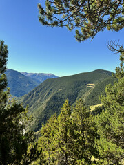 Obraz premium Landscape with mountains and forest
