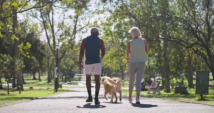 Interracial couple, back and walking with dog at park for bonding, animal care or fresh air in nature. Mature man, woman and labrador with leash for stroll together on path or road at outdoor forest