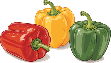 Capsicum Illustration vector design, Capsicum in white background Illustration vector design
