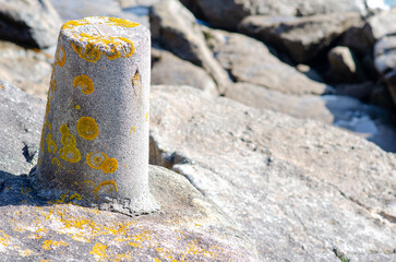 Close-up of an old stone boundary marker overgrown with yellow lichen on sunlit coastal rocks, highlighting natural textures and rugged outdoor environment.