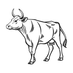 Silhouette vector cow in white background.